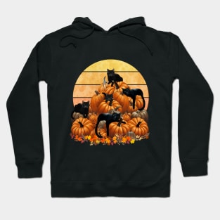 Cats say welcome autumn with pumpkinsin and sunset, color autumn, orange,hello fall autumn lovers Hoodie